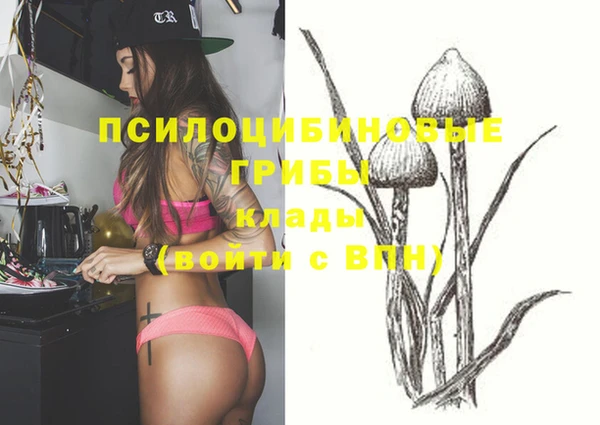 гашик Белокуриха