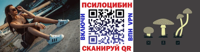 ссылка на мегу рабочий сайт Рыбинск Псилоцибиновые грибы Psilocybine cubensis